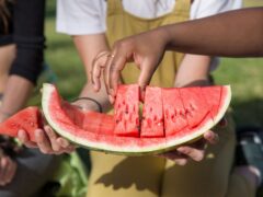 person holding sliced watermelon