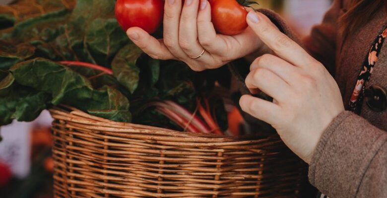 a person holding fresh tomatoes